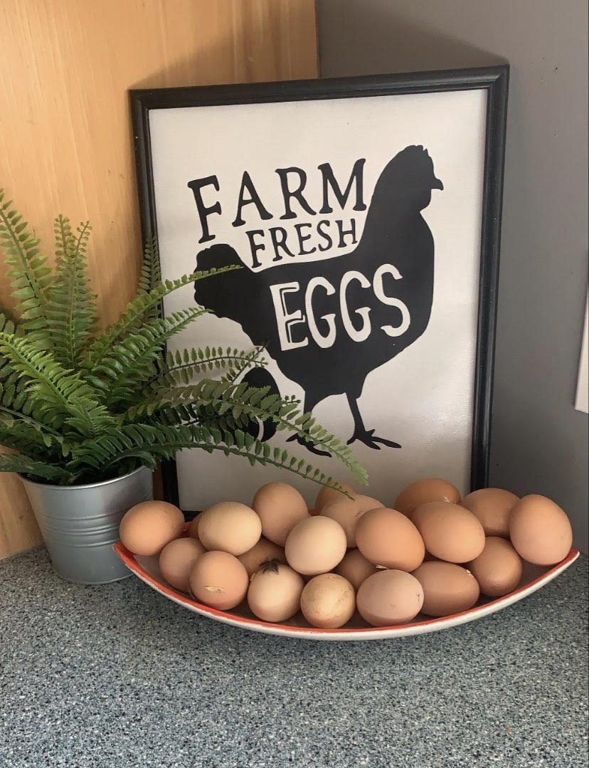 Dozen Farm Fresh Eggs